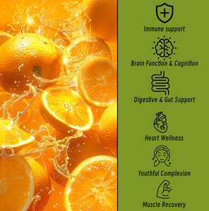 Capsules de Vitamine C Liposomale en Gros pour une Énergie et une Fraîcheur Durables Toute la Journée – Compléments Alimentaires à Base de Plantes - Product Image 6