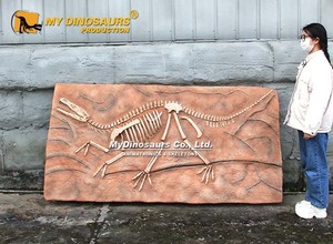 My Dino DS-124 Plaque d'exposition <span class=keywords><strong>de</strong></span> fossile <span class=keywords><strong>de</strong></span> dinosaure <span class=keywords><strong>Velociraptor</strong></span> pour musée - Product Image 5