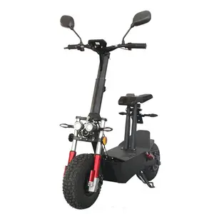 New Design EVO 2000W Moto Scooter Electrico