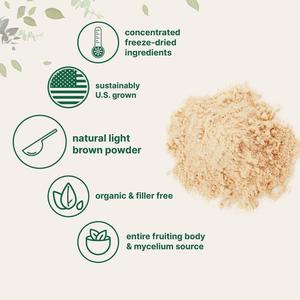 Suplemento de hongo de Melena De León orgánico en polvo, soporte inmunológico energético, polvo de hongo de Melena De León vegano sin OGM - Product Image 2