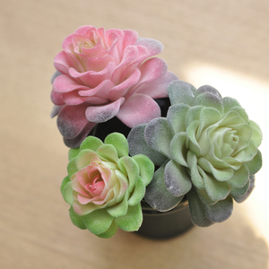 <span class=keywords><strong>Piante</strong></span> succulente <span class=keywords><strong>artificiali</strong></span>, <span class=keywords><strong>piante</strong></span> grasse finte <span class=keywords><strong>realistiche</strong></span> per la decorazione <span class=keywords><strong>da</strong></span> ufficio per la scrivania a casa verde - Product Image 1