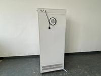 Incubateur biochimique en acier inoxydable à température constante pour laboratoire de culture cellulaire