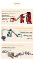 Prix bon marché moderne Afrique du Sud Kirghizistan industriel commercial automatique noix pâte de sésame amande beurre d'arachide faisant la machine