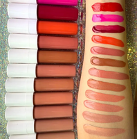 Rouge à lèvres de haute qualité, fabrication de rouge à lèvres nude, marque privée, rouge à lèvres cosmétique, rouge à lèvres liquide mat longue tenue, logo personnalisé