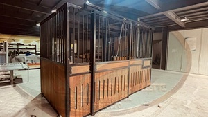 近代的な納屋のドアホースシェルター迅速な設置安定パネル屋外ホースファーム - Product Image 3