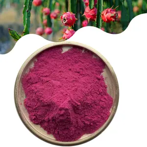 Großhandel natürliches gefrier getrocknetes rosa Pitaya-Pulver Red Dragon Fruit Powder