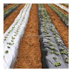 Película de Cobertura Biodegradable Plateada y Negra al por Mayor - Lámina Plástica de Doble Color para Barrera Contra Malezas para Jardín y Granja - Product Image 6