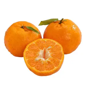 2022 çin taze mandalina portakal ponkan mandalina portakal ucuz fiyat