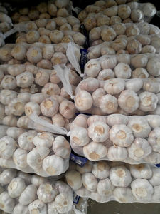 Alho Branco Normal 5 unidades/saco com Palete - Product Image 2