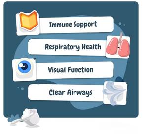 Complément alimentaire <span class=keywords><strong>naturel</strong></span> pour le soutien immunitaire à base de L-Lysine pour les problèmes respiratoires des chats, absorption rapide, gouttes, soins de santé pour animaux de compagnie, OEM/ODM - Product Image 2