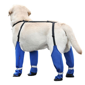 Motif solide anti-dérapant respirant en caoutchouc pour <span class=keywords><strong>chien</strong></span> chaussons mignon jarretelle <span class=keywords><strong>chien</strong></span> chaussures trou de <span class=keywords><strong>chaleur</strong></span> pour plancher de bois dur chaussettes chaudes pour animaux de compagnie - Product Image 5