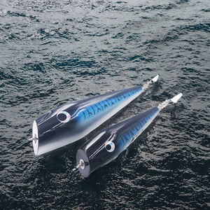 Esca Galleggiante <span class=keywords><strong>in</strong></span> Legno per <span class=keywords><strong>Pesca</strong></span> a Traina, Teaser Sea Bird <span class=keywords><strong>con</strong></span> Girella, Esca <span class=keywords><strong>Artificiale</strong></span> Rigida Stampata per <span class=keywords><strong>Pesca</strong></span> nel Lago - Product Image 3