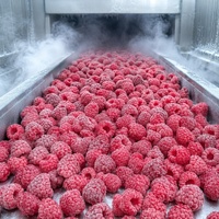 Graad A Halal IQF Diepvries Frambozen Groothandel |   100% natuurlijke verse rode frambozen, hele, voor smoothies, jam & bakkerijproducten