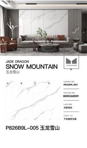 بلاط أرضي من البورسلين متعدد الألوان من المورد المصنع، ألواح حجرية صناعية متعددة الاستخدامات للجدران - Product Image 4