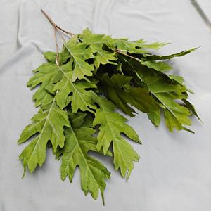Artificial 4 Fork Oak Leaf Bouquet Wedding Floral Decoration <strong>Background</strong> Aisle Decor Hotel Artificial Flower Ornaments - Product Image 6