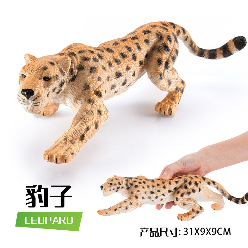 Money leopard (about 290g)