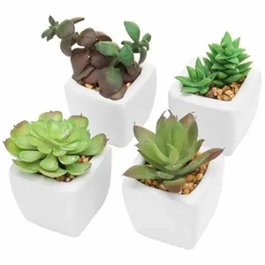 INUNION vendita calda piante succulente artificiali finto succulente 4 pz <span class=keywords><strong>Mini</strong></span> in vaso di plastica per composizioni floreali - Product Image 3