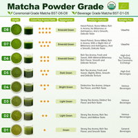BSTBIO Vente en Gros Thé Vert Matcha Biologique en Poudre de Grade Cérémonial, Marque Privée