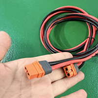 Adaptateur Connecteur Solaire XT60I-F Câble d'Alimentation 12V DC Isolé PVC 2 Cœurs 12AWG avec Connecteurs pour Stockage d'Énergie