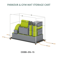 Matériel de jeu et mobilier d'extérieur pour enfants TongLeFang, chariot de rangement et étagères pour tapis de parkour, en métal et contreplaqué marin pour l'école