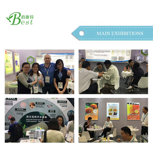 शीर्ष ग्रेड आईएसओ फैक्टरी थोक मूल्य की आपूर्ति दिल की पत्ती houttuyna कॉर्डेटा निकालने पाउडर - Product Image 4