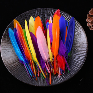 10-15CM/50 <span class=keywords><strong>racines</strong></span> <span class=keywords><strong>le</strong></span> fabricant vend directement des plumes d'oie DIY pour enfants matériaux faits à la main bijoux vêtements matériaux - Product Image 2