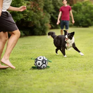 Wellfine 2022环保互动游戏耐用宠物球玩具狗猫运动宠物训练行走小狗足球玩具
