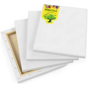 Nhà Máy Bán Buôn 8X10'' 100 Cotton Artist Kéo Dài Tranh Canvas Panel Nghệ Thuật Set