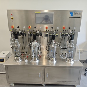 Bioréacteur en verre Récipient de réaction en verre biotraitement évolutif échantillonnage stérile Agitation mécanique laboratoire bioréacteur BLBIO-GJ - Product Image 6