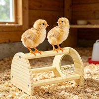 Jouet pour poulets avec miroir, structure d'arche en bois, triple barre, ensemble de jeu pour poussins pour poulailler intérieur et enclos à volailles