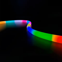 Tube lumineux néon LED RGB en silicone, flexible à 360°, étanche IP65, DC24V, longueur programmable 10m pour fêtes