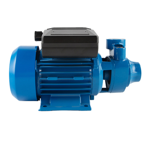 Pompa d'Acqua Elettrica Compatta Serie IDB, 0.5hp 1hp, per Uso Domestico e Giardino, Autoadescante, Prezzo Conveniente - Product Image 5