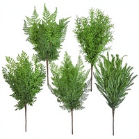 Fougère artificielle en plastique commerciale, laminée, multi-feuilles, verdure pour aménagement paysager de Noël, vente en gros