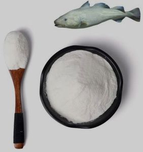 Collagène de poisson en poudre en vrac, protéine marine finement traitée, ingrédient pour la fabrication alimentaire, mélanges de poudres fonctionnelles - Product Image 3