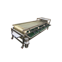 China Leverancier Roestvrij Staal Sorteerder Hete Verkoop Aardbei Olijfpruim Bosbessen Kersen Fruit Sortering Sortering Machine