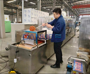 Industrial Tunnel <b>Microwave</b> Processing Machine Continuous Blanching <b>Sterilizing</b> Drying Equipment For Mushroom And Edible Fungus - Product Image 2