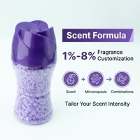 Perles de parfum pour lessive écologiques 250g, directement de l'usine, marque privée, vente en gros, parfum longue durée, adoucissant textile