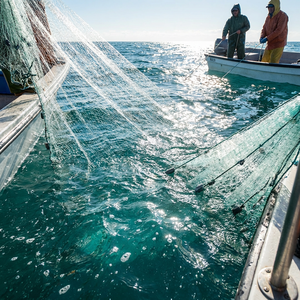 Filet de pêche à la palangre Abyssal Deep-Sea Ambush - Système renforcé à 3 couches haute résistance pour un déploiement océanique à haute pression - Product Image 1