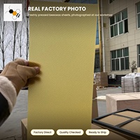 Feuilles de cire d'abeille naturelle en gros, taille de cellule 5,4 mm, pour une construction rapide des ruches, destinées aux apiculteurs professionnels