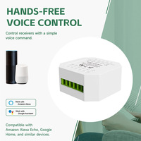 Nouveau design 2026 Module de relais mini Wi-Fi Tuya 16A compatible Alexa et Google Home 1 à 4 voies