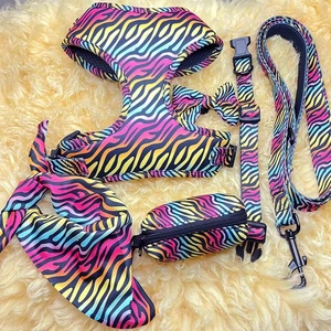 Arnés Cómodo y Ajustable para Perro con Sublimación, <span class=keywords><strong>Collar</strong></span> y Correa de Poliéster con Transferencia Térmica - Product Image 4