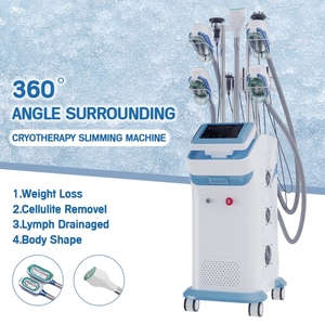 เครื่องสลายไขมัน Cryolipoy 9 in 1 ราคาโรงงาน ผลิตจากวัสดุ ABS สำหรับใบหน้าและบริเวณ ABS ที่กำหนด ใช้ได้กับปลั๊กแบบ US - Product Image 2
