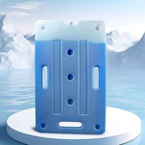 Groothandel Draagbare Meervoudige Maat Hdpe Herbruikbare Harde Plastic Vriesgel Ijsdoos Blokkoeler Verpakking - Product Image 2