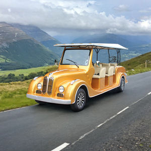 72V電気クラシックカー旅行観光8席電気自動車レトロクラシックカー結婚式と屋外用 - Product Image 1