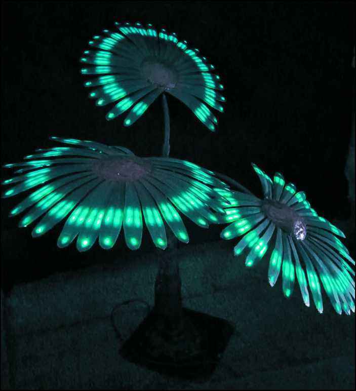 Sueño grandes hojas de ventilador