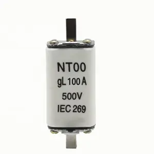 Fuse NT00 gL 100A 500V IEC 269 Low voltage fuse Ceramic