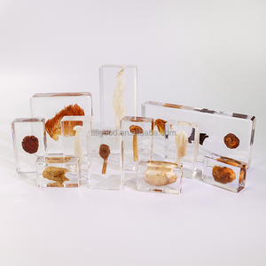 Spécimen en résine, artisanat en résine, mini ornements de <span class=keywords><strong>champignons</strong></span> réels, spécimen de cristal naturel original pour cadeau d'enfant - Product Image 3