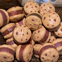 Nouvel Arrivage Anti-stress ASMR : Bloc de Pâte TPR à Presser, Rempli de Nouilles Ramen Instantanées Croustillantes et Moelleuses