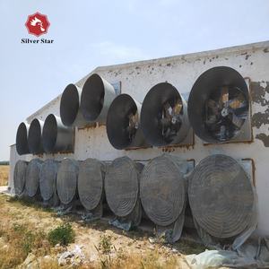 Équipement d'élevage avicole entièrement <span class=keywords><strong>automatique</strong></span> - Cages à poulets de chair en batterie à vendre - Product Image 6