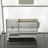 Industriële aardappel schilmachine, automatische fruit- en groenteschiller, borstelrolwasser voor verwerkingsbedrijven